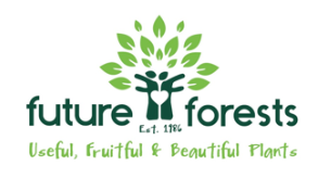 Future-Forests