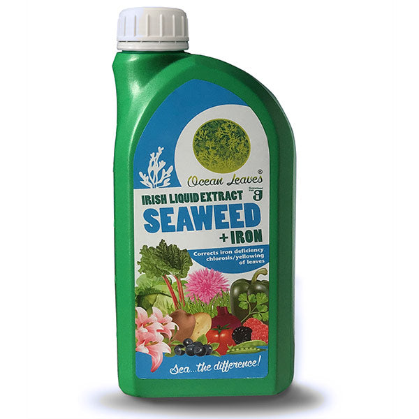  Ocean Leaves, Irish Liquid Seaweed Extract With IRON