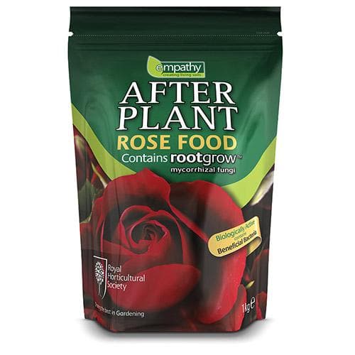  RHS Empathy Afterplant - Rose