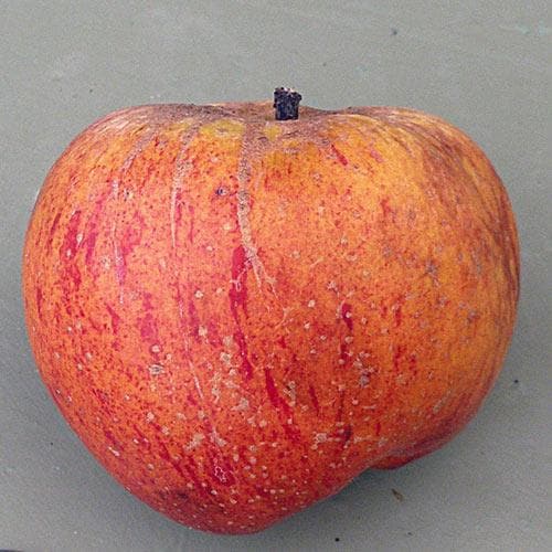  Apple Peach Melba