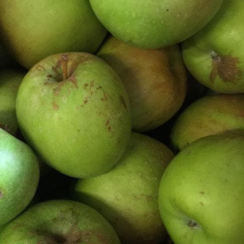  Apple Sweet Pethyre